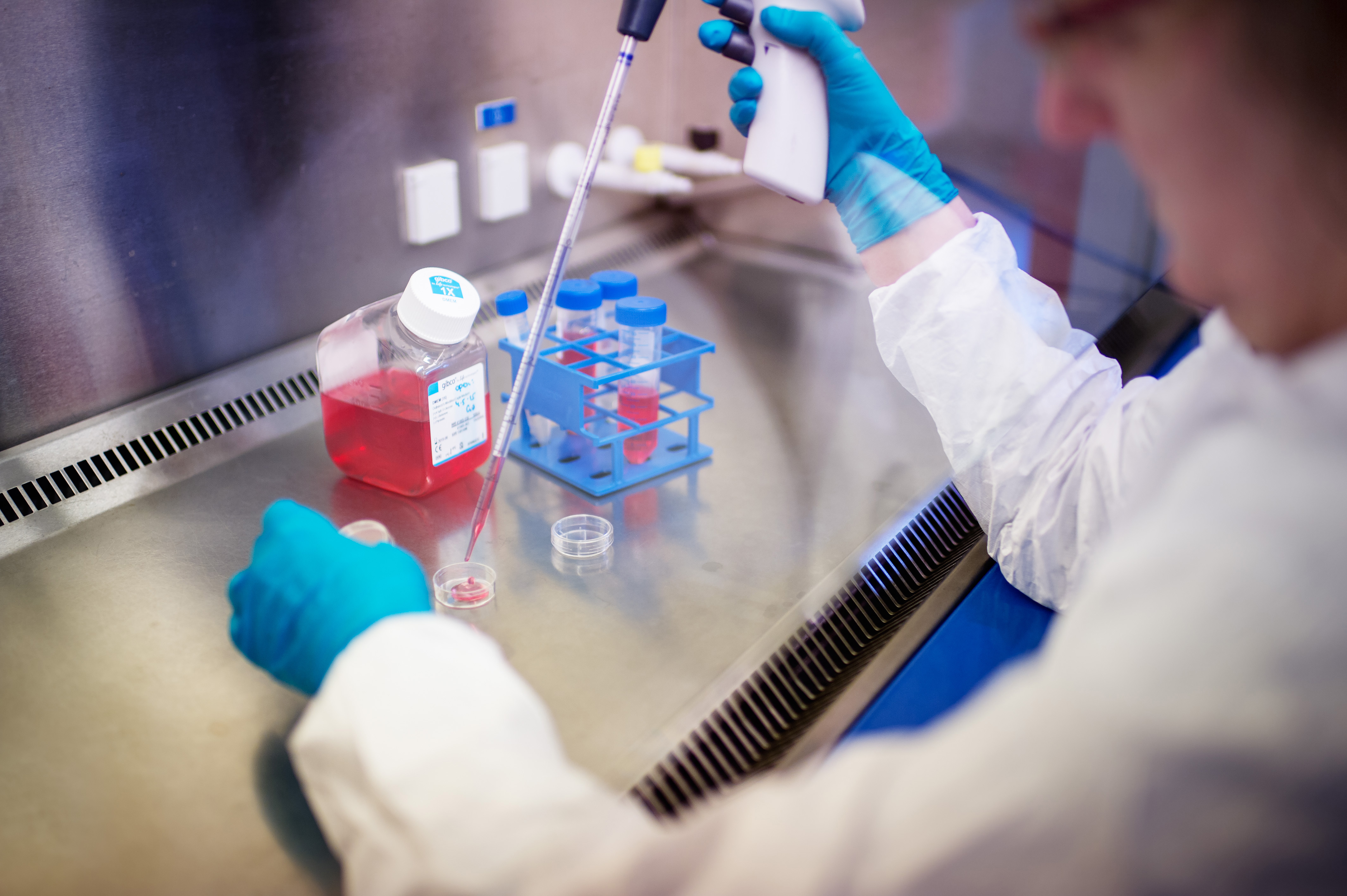 Biotechnology stem cell 